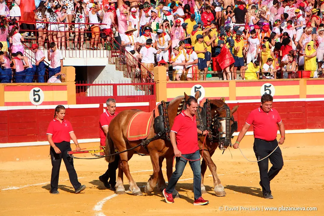 Fiestas de Tudela 2026 Novillada 22