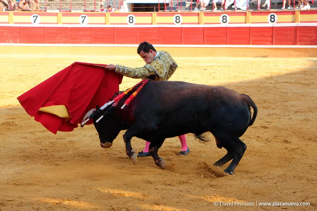 Fiestas de Tudela 2026 Novillada 36