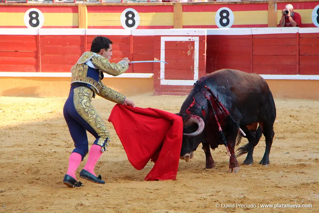 Fiestas de Tudela 2026 Novillada 37