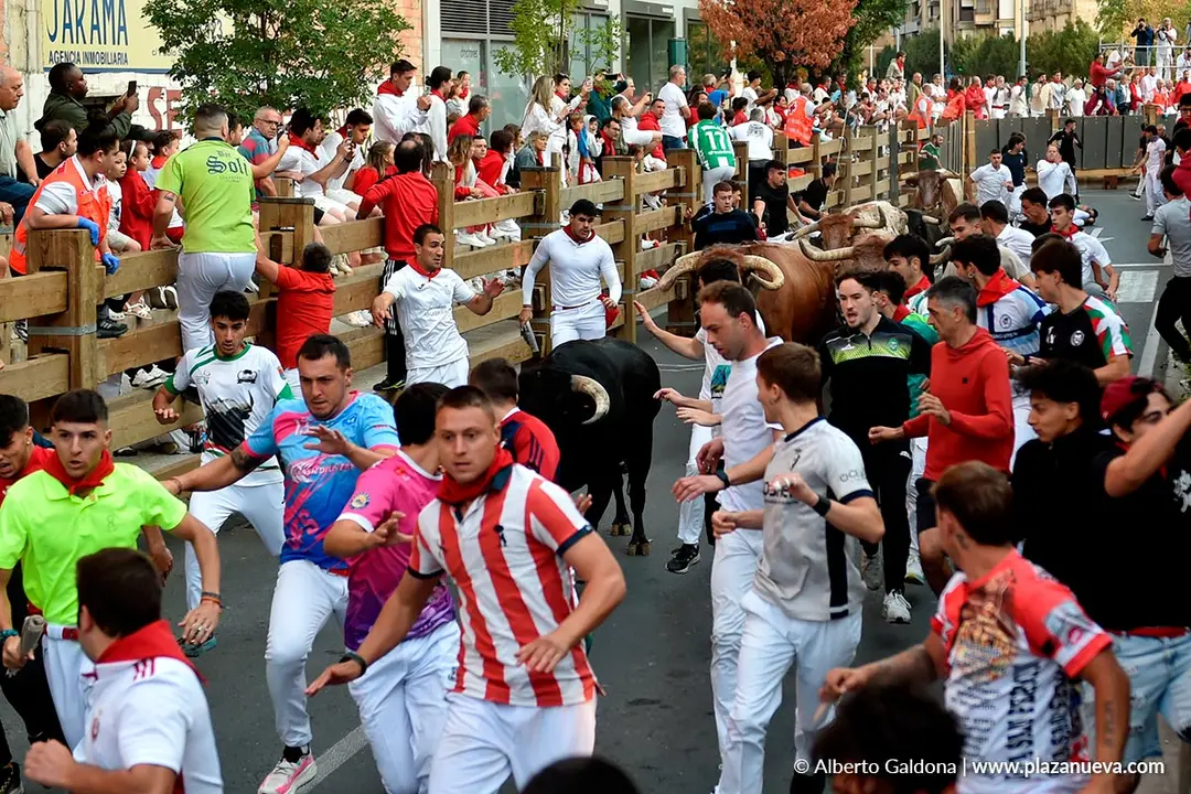 Fiestas de Tudela 2026 Encierro d&iacute;a 26 1