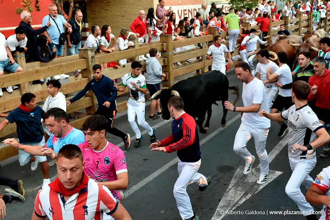 Fiestas de Tudela 2026 Encierro d&iacute;a 26 2