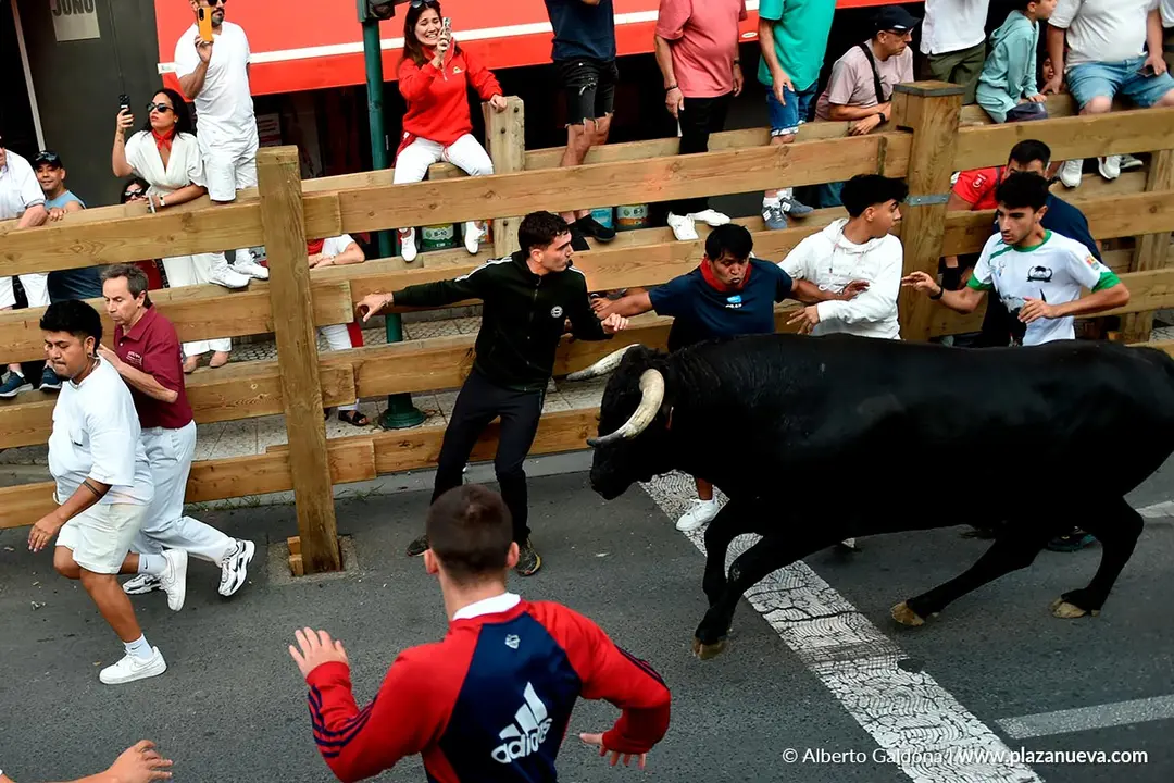 Fiestas de Tudela 2026 Encierro d&iacute;a 26 3