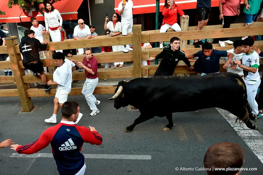 Fiestas de Tudela 2026 Encierro d&iacute;a 26 4