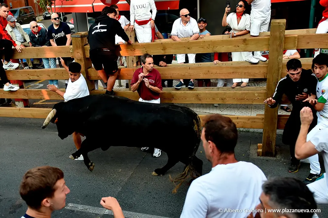 Fiestas de Tudela 2026 Encierro d&iacute;a 26 5