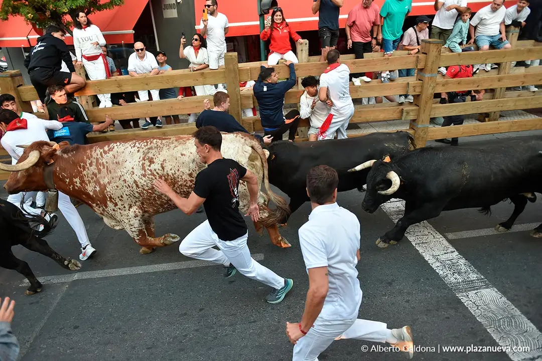 Fiestas de Tudela 2026 Encierro d&iacute;a 26 6