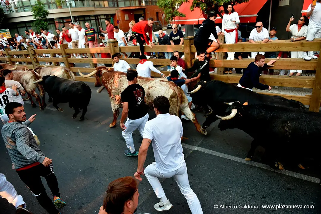Fiestas de Tudela 2026 Encierro d&iacute;a 26 7