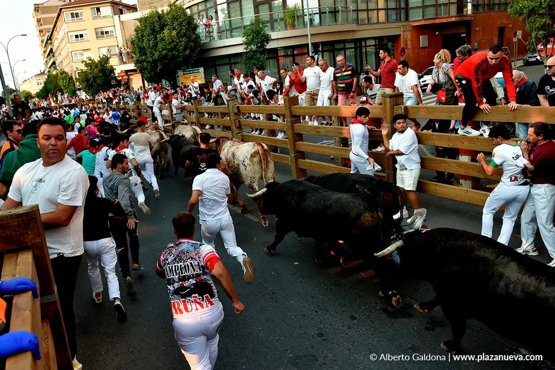 Fiestas de Tudela 2026 Encierro d&iacute;a 26 8