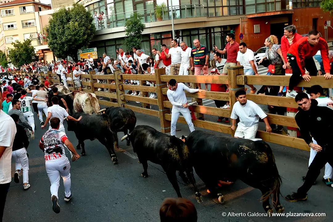 Fiestas de Tudela 2026 Encierro d&iacute;a 26 9