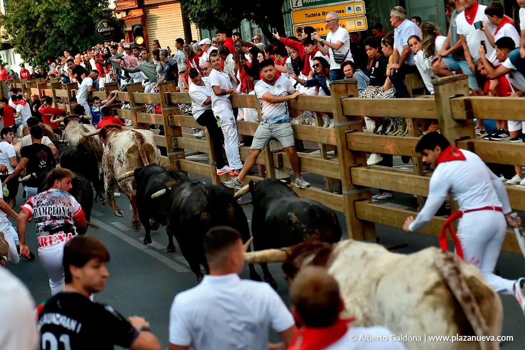 Fiestas de Tudela 2026 Encierro d&iacute;a 26 10