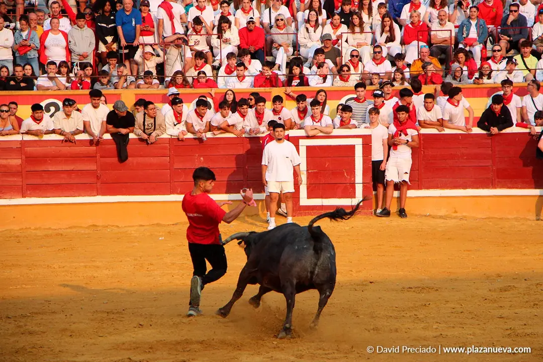 Fiestas de Tudela 2026 Suelta de vaquillas d&iacute;a 26 2