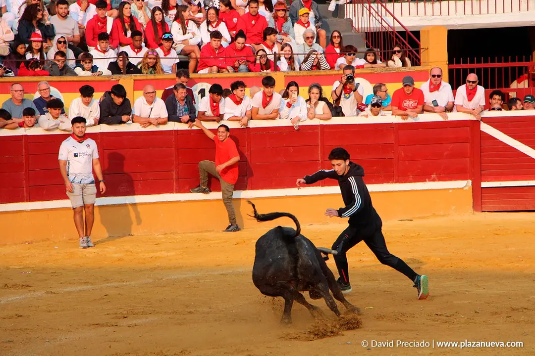 Fiestas de Tudela 2026 Suelta de vaquillas d&iacute;a 26 3
