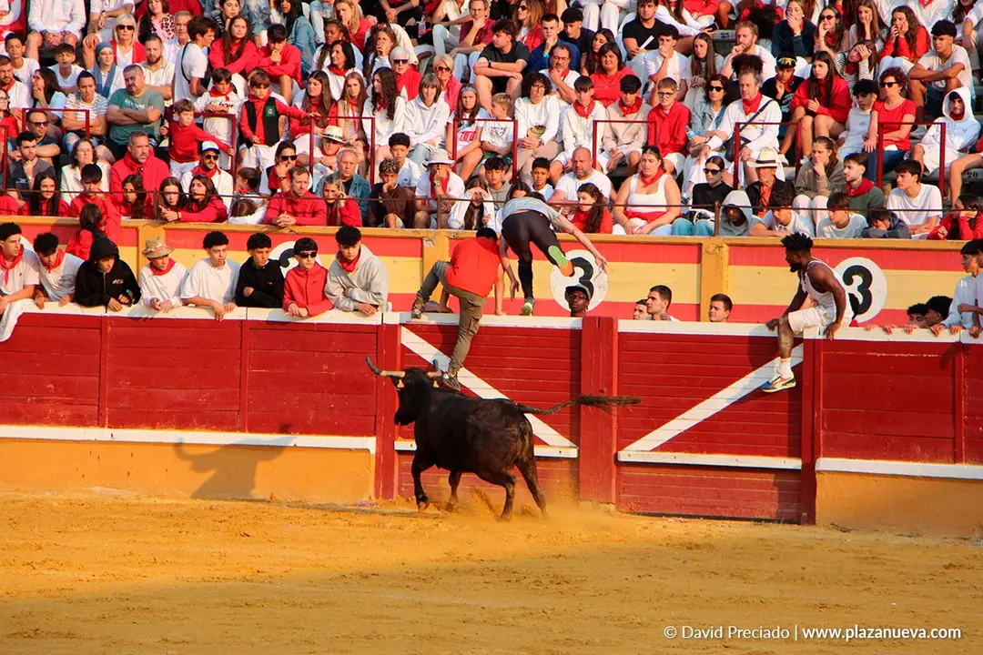Fiestas de Tudela 2026 Suelta de vaquillas d&iacute;a 26 4