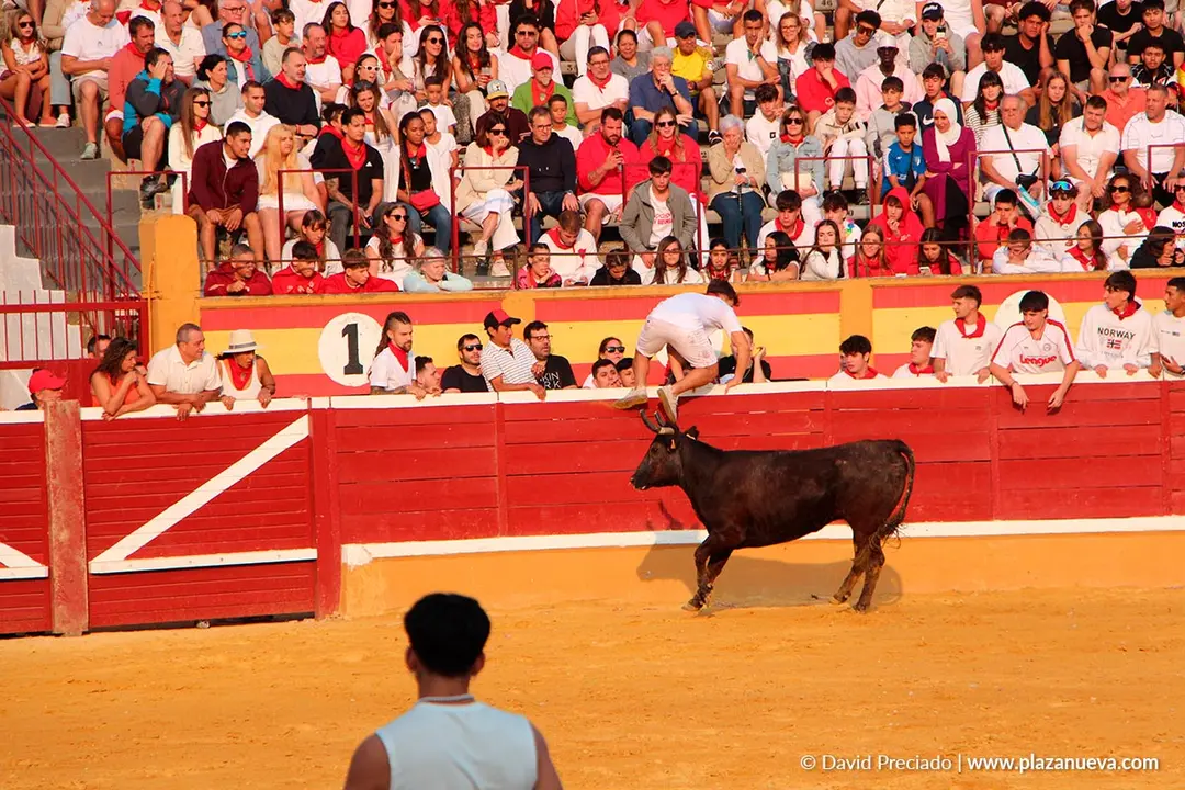 Fiestas de Tudela 2026 Suelta de vaquillas d&iacute;a 26 5
