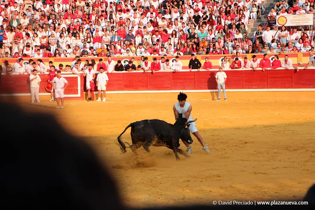 Fiestas de Tudela 2026 Suelta de vaquillas d&iacute;a 26 6
