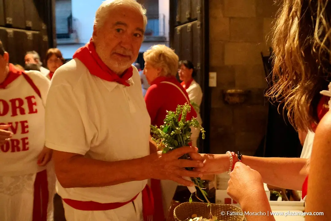 Fiestas de Tudela 2026 Procesi&oacute;n de Santa Ana La Vieja 2