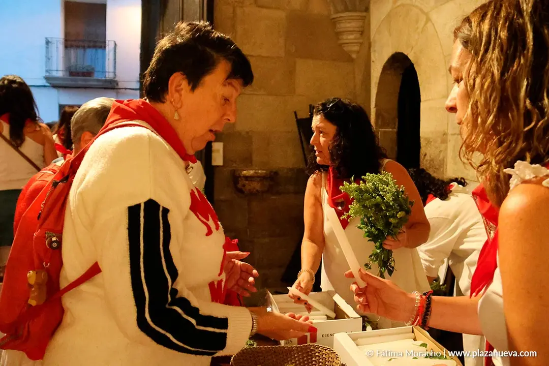 Fiestas de Tudela 2026 Procesi&oacute;n de Santa Ana La Vieja 3