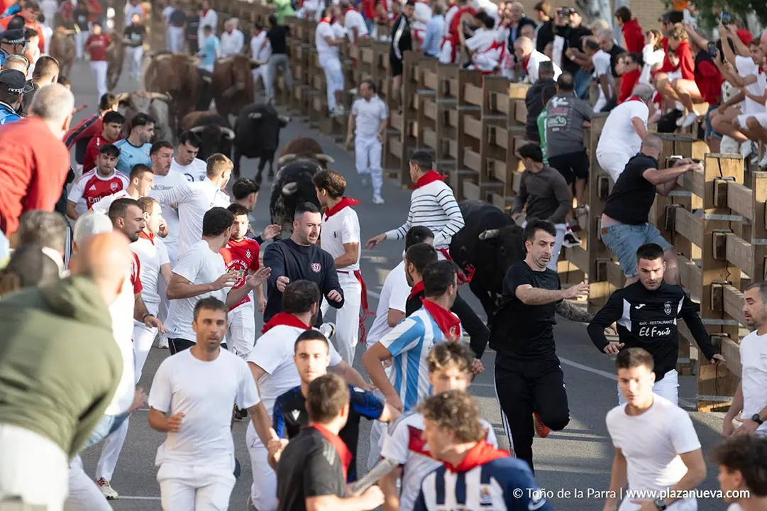 Fiestas de Tudela 2026 Encierro d&iacute;a 27 16