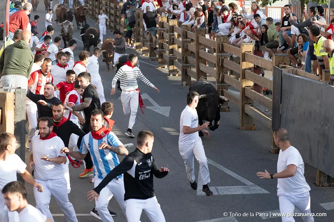 Fiestas de Tudela 2026 Encierro d&iacute;a 27 21