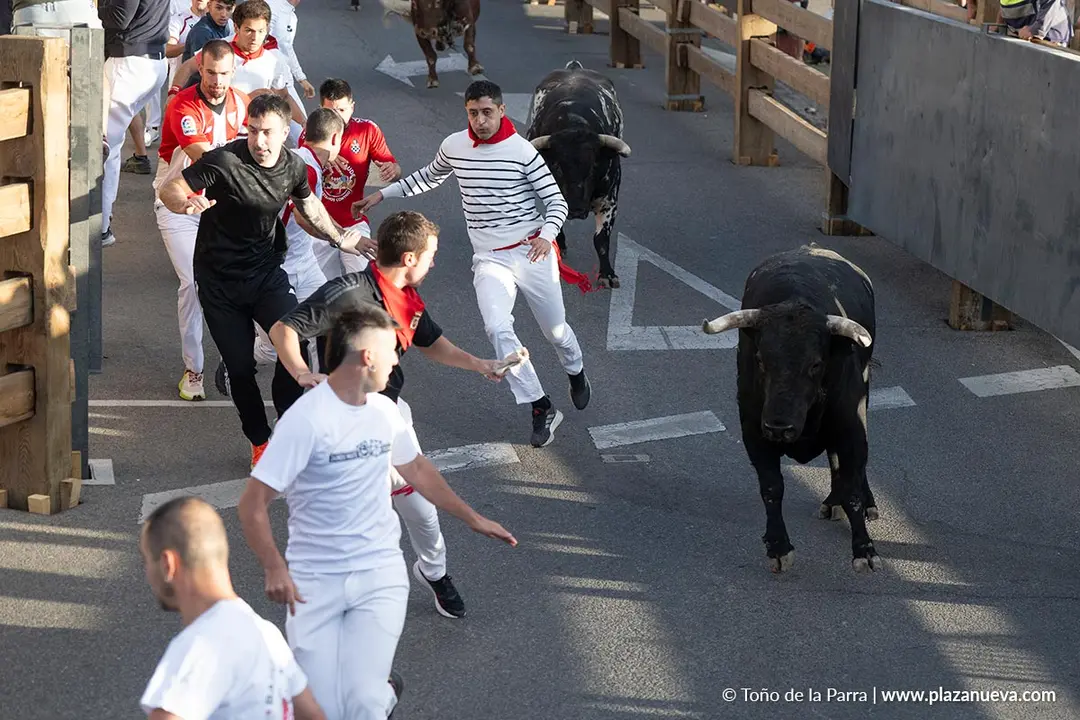 Fiestas de Tudela 2026 Encierro d&iacute;a 27 23