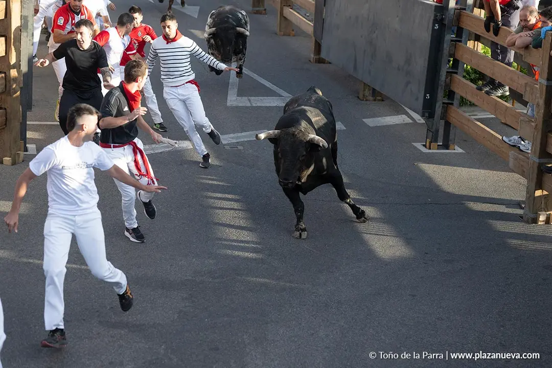 Fiestas de Tudela 2026 Encierro d&iacute;a 27 24
