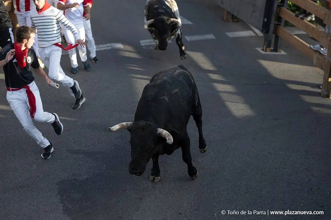 Fiestas de Tudela 2026 Encierro d&iacute;a 27 25