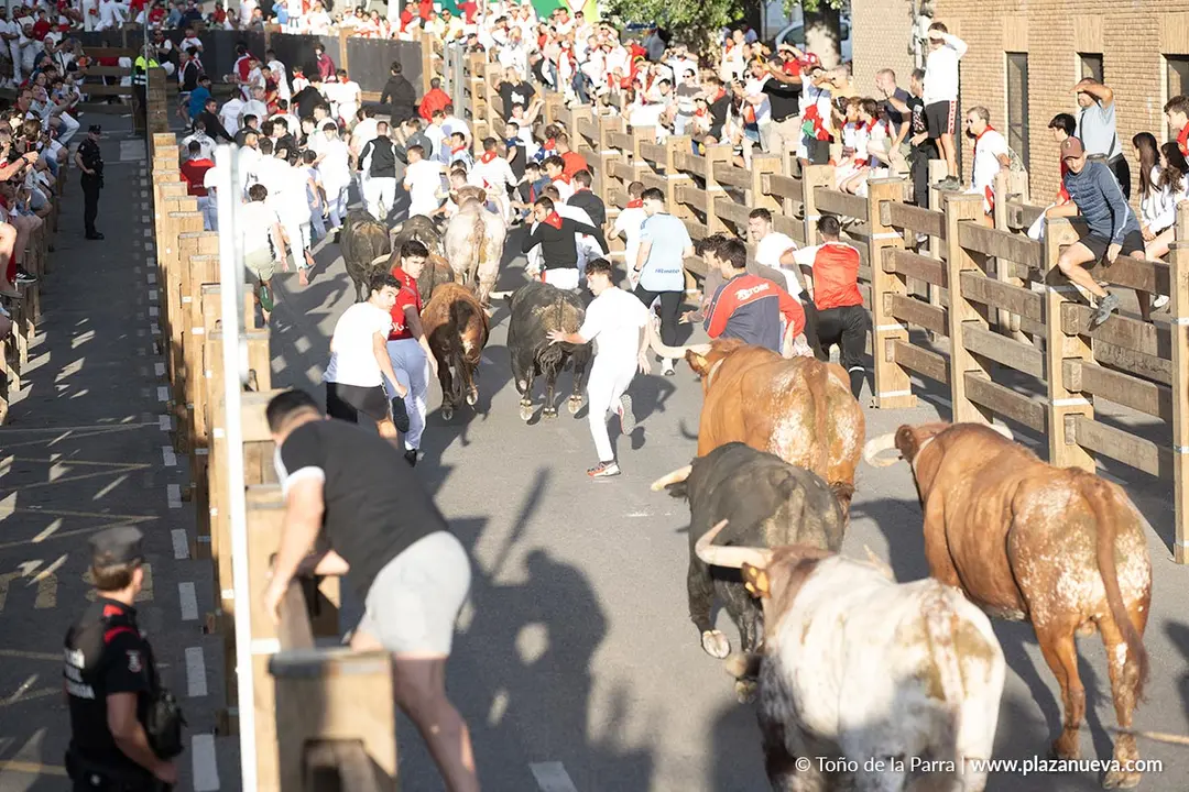 Fiestas de Tudela 2026 Encierro d&iacute;a 27 28