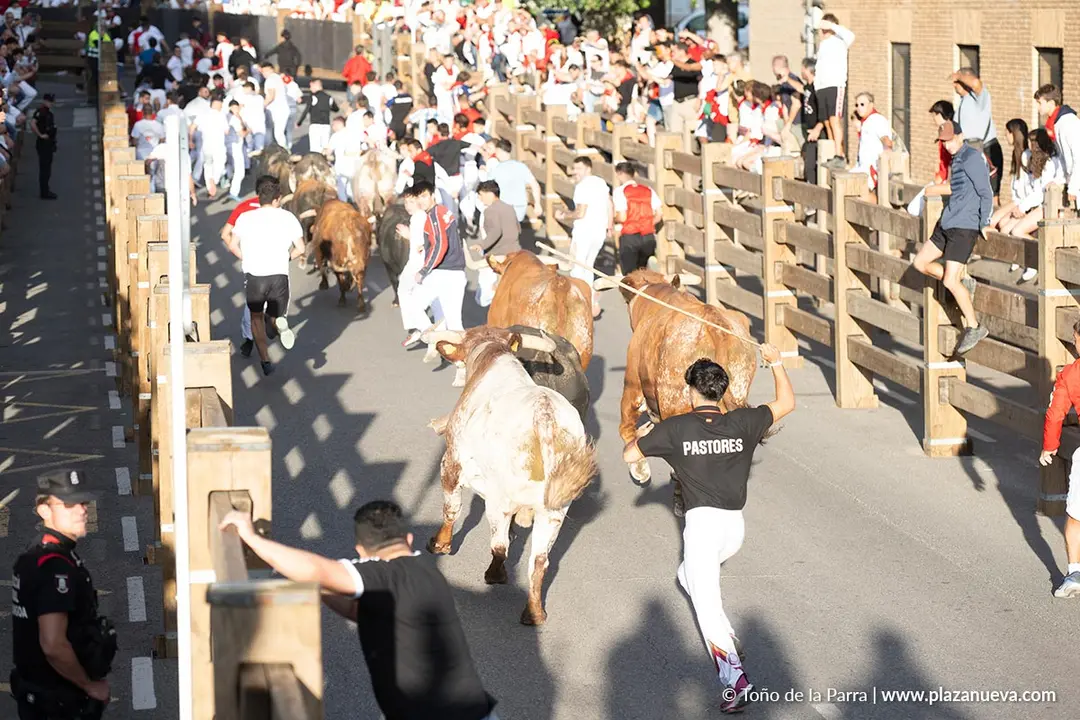 Fiestas de Tudela 2026 Encierro d&iacute;a 27 29