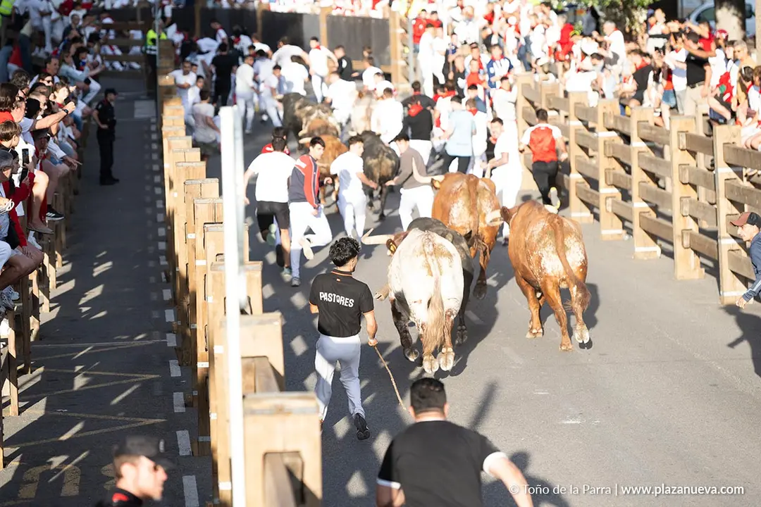 Fiestas de Tudela 2026 Encierro d&iacute;a 27 30