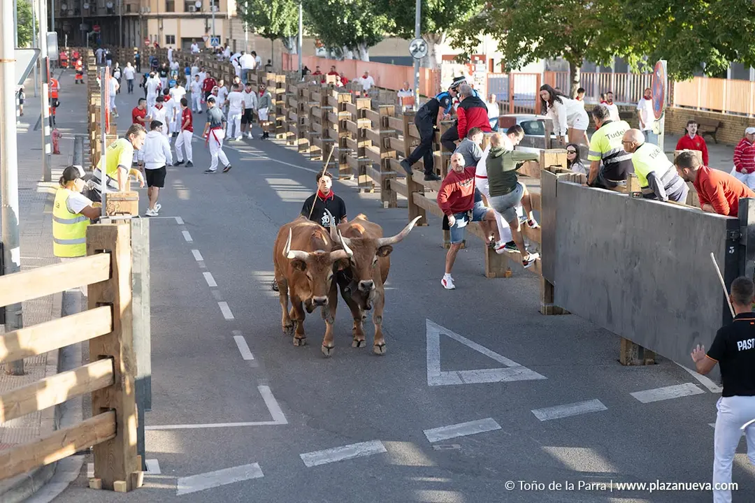 Fiestas de Tudela 2026 Encierro d&iacute;a 27 33