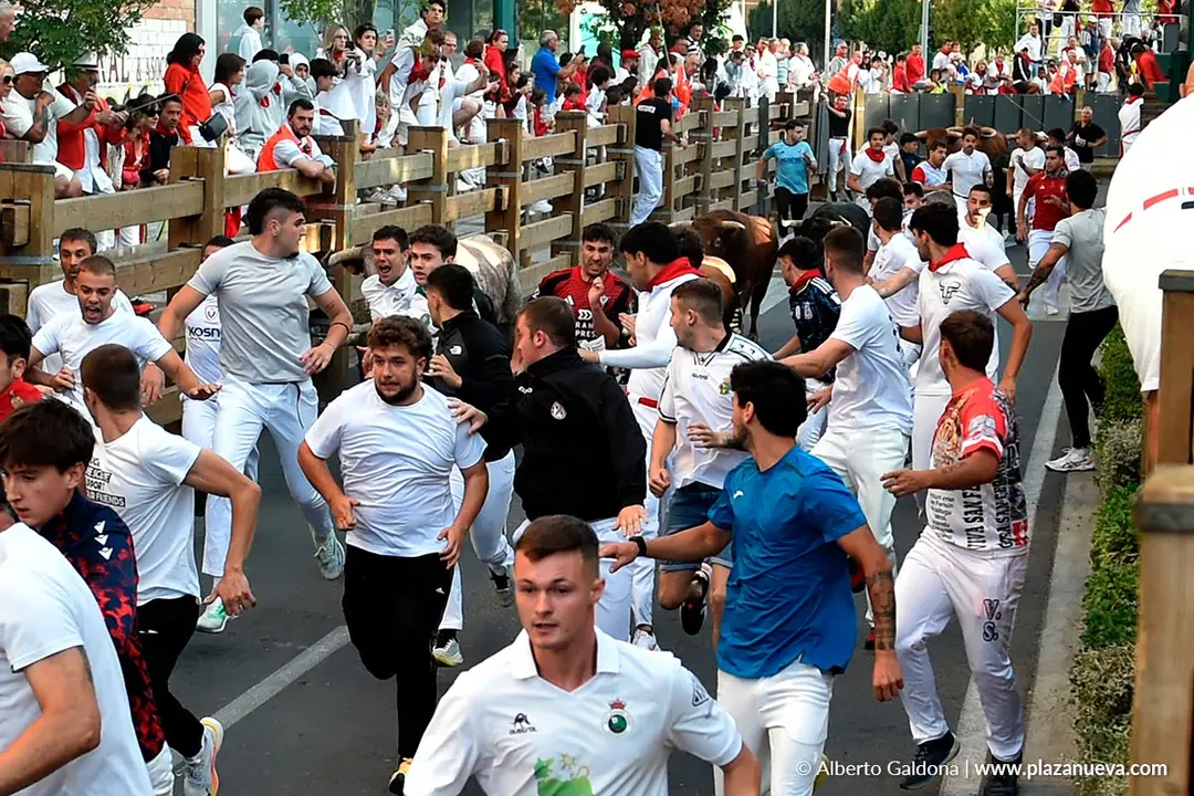 Fiestas de Tudela 2026 Encierro d&iacute;a 27 36