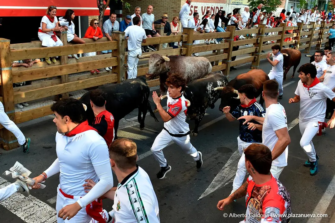 Fiestas de Tudela 2026 Encierro d&iacute;a 27 38