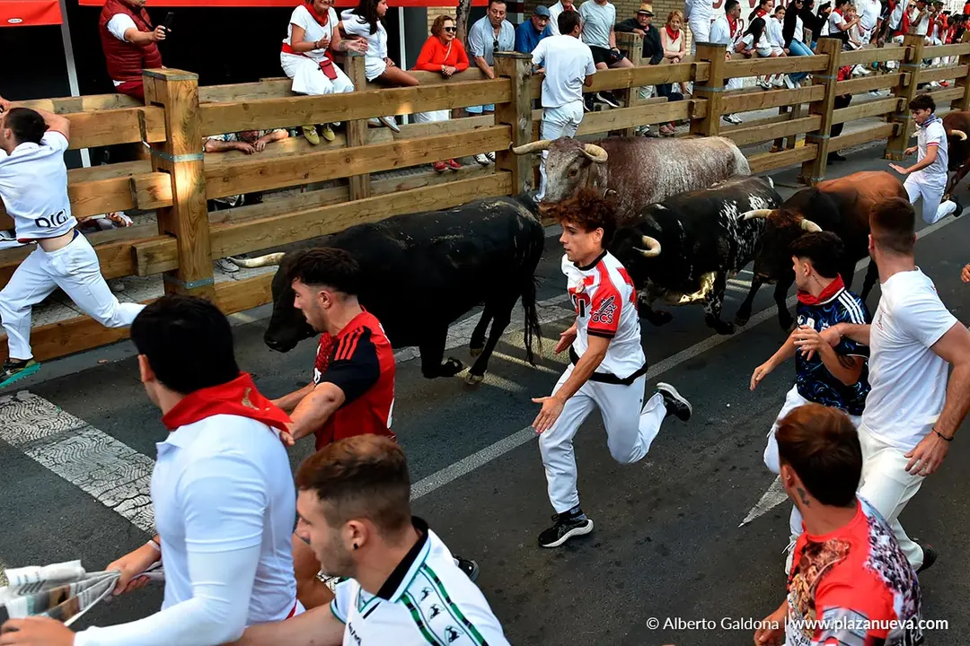 Fiestas de Tudela 2026 Encierro d&iacute;a 27 39