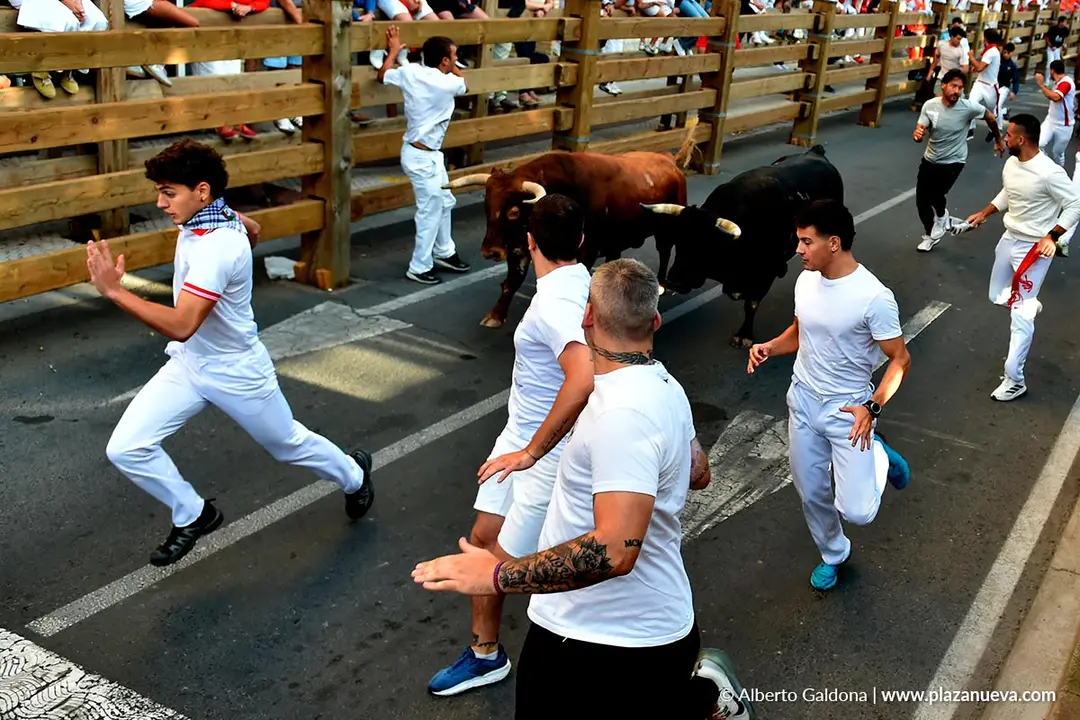 Fiestas de Tudela 2026 Encierro d&iacute;a 27 41