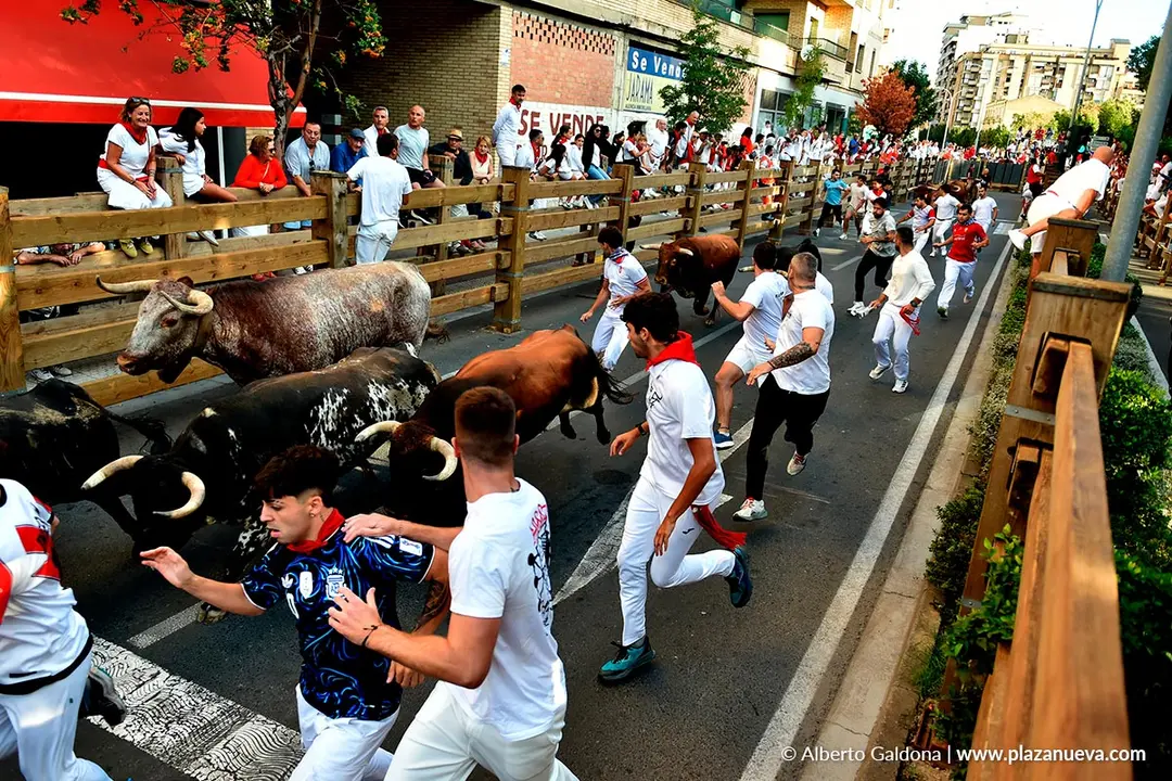 Fiestas de Tudela 2026 Encierro d&iacute;a 27 40