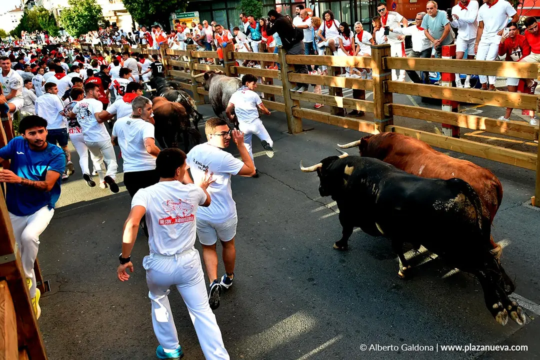 Fiestas de Tudela 2026 Encierro d&iacute;a 27 43