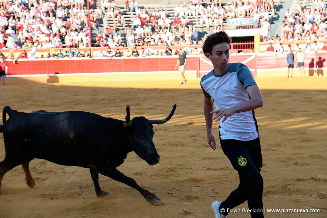 Fiestas de Tudela 2026 Suelta de vaquillas d&iacute;a 27 3