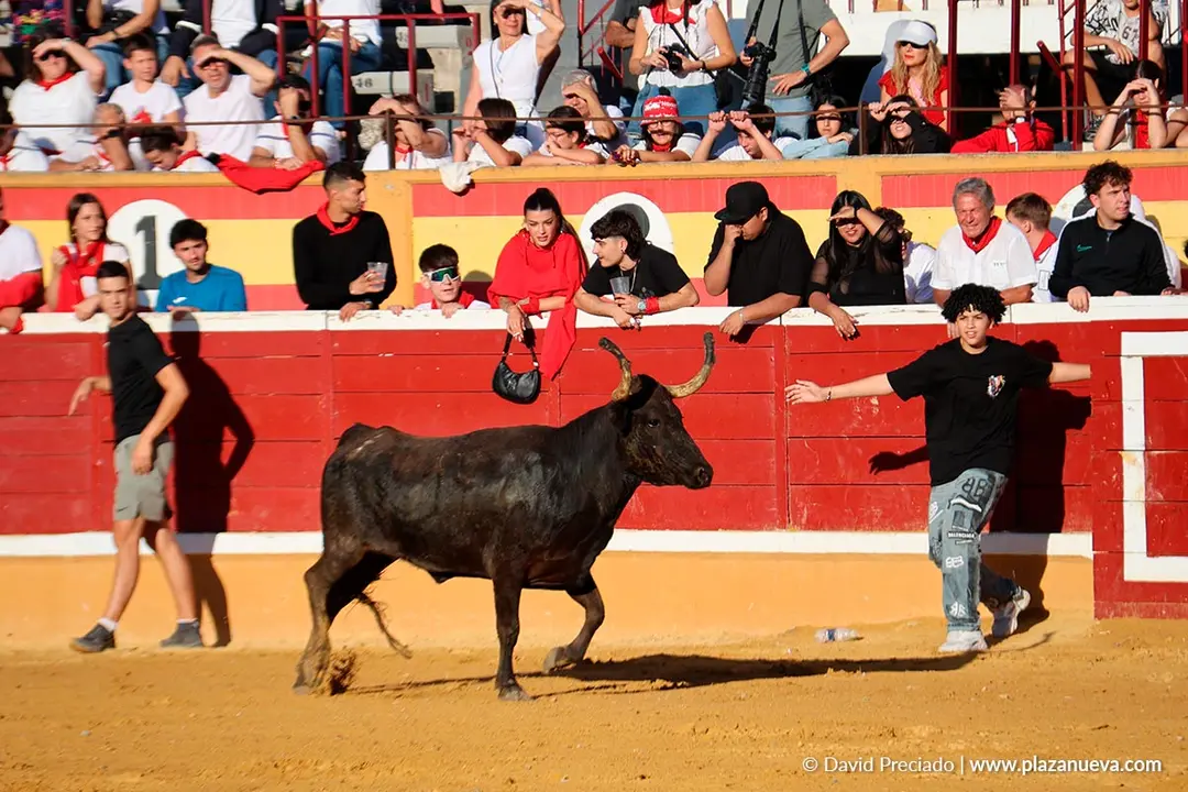 Fiestas de Tudela 2026 Suelta de vaquillas d&iacute;a 27 4