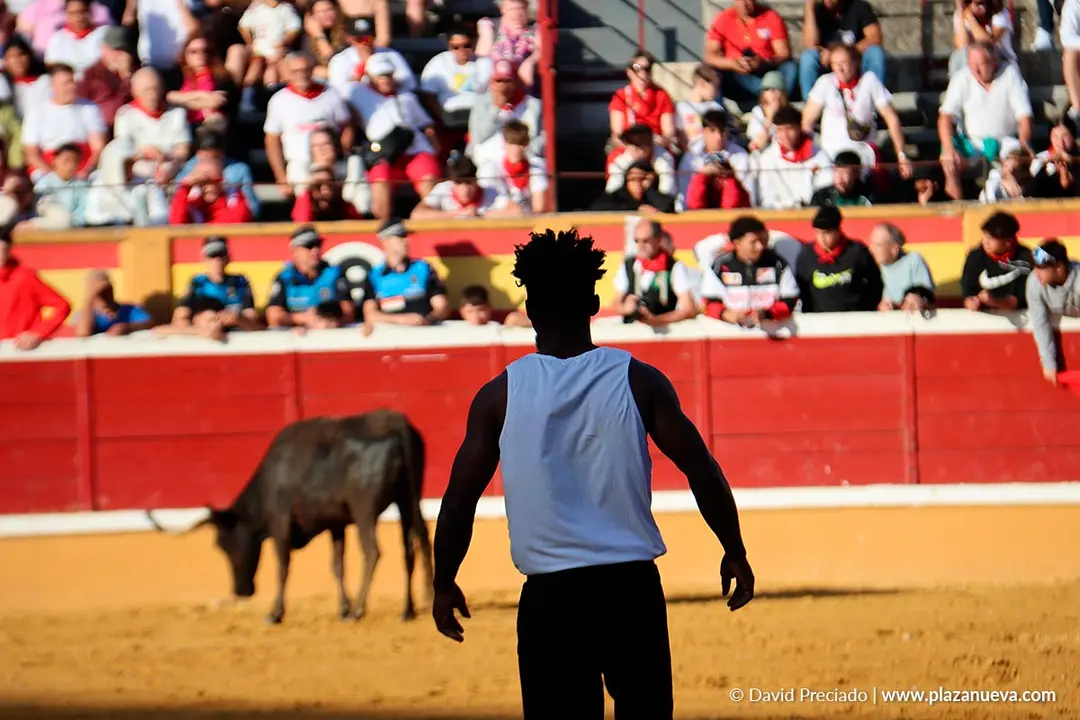 Fiestas de Tudela 2026 Suelta de vaquillas d&iacute;a 27 5