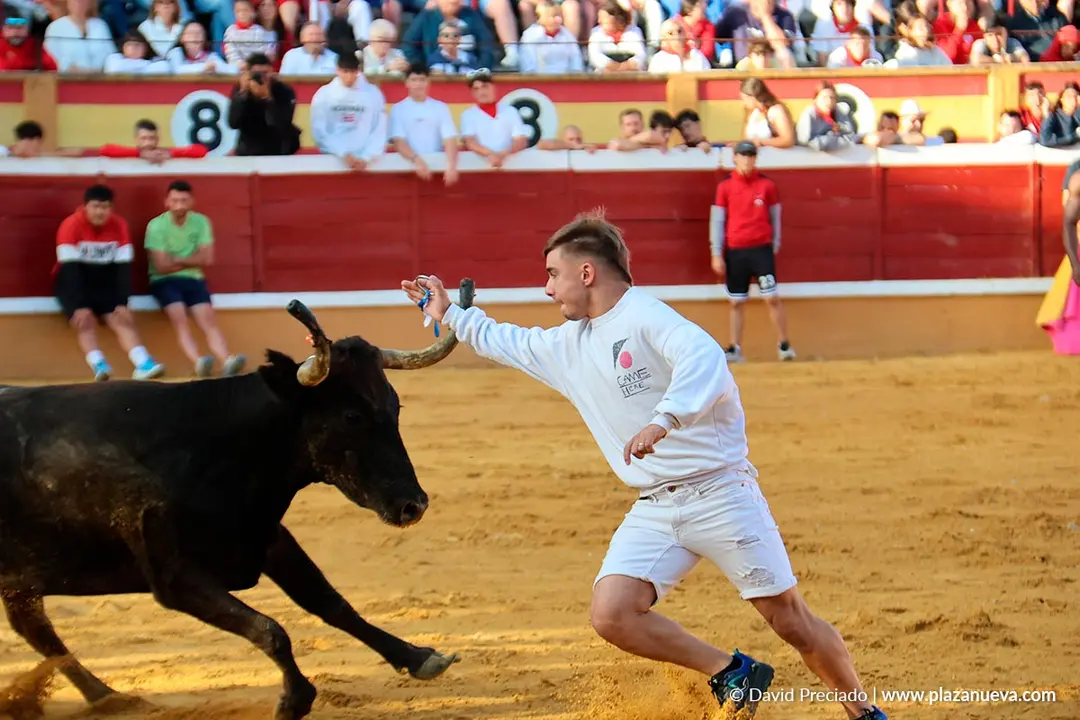 Fiestas de Tudela 2026 Suelta de vaquillas d&iacute;a 27 7