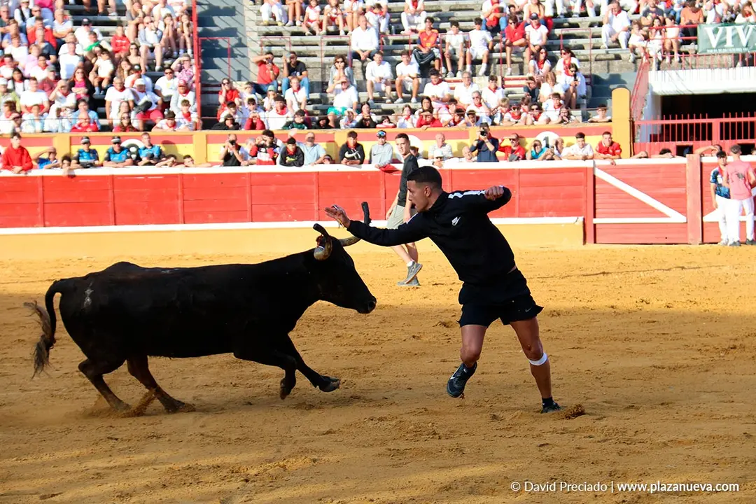 Fiestas de Tudela 2026 Suelta de vaquillas d&iacute;a 27 8