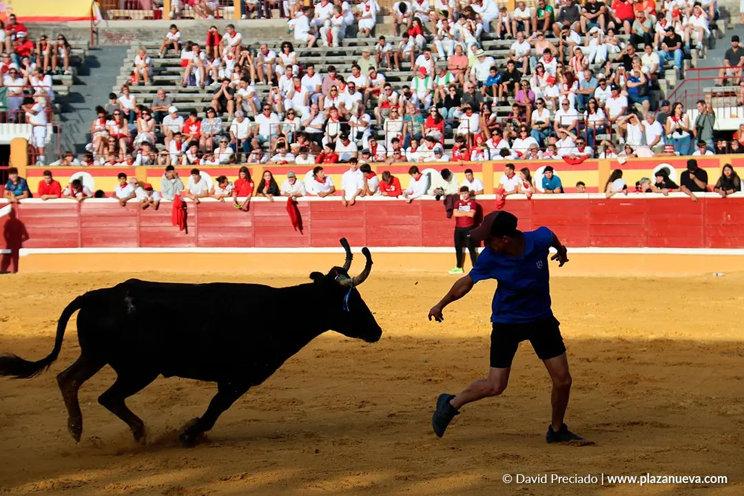 Fiestas de Tudela 2026 Suelta de vaquillas d&iacute;a 27 9