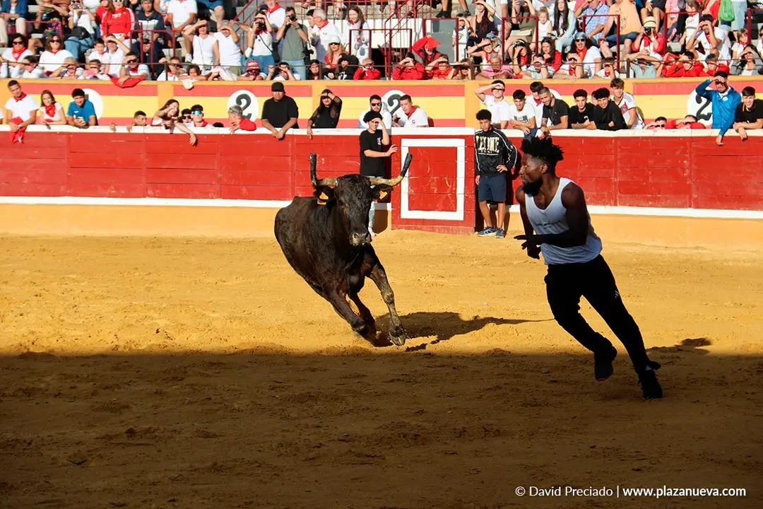 Fiestas de Tudela 2026 Suelta de vaquillas d&iacute;a 27 10