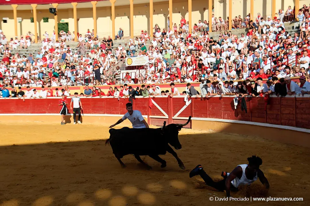 Fiestas de Tudela 2026 Suelta de vaquillas d&iacute;a 27 13