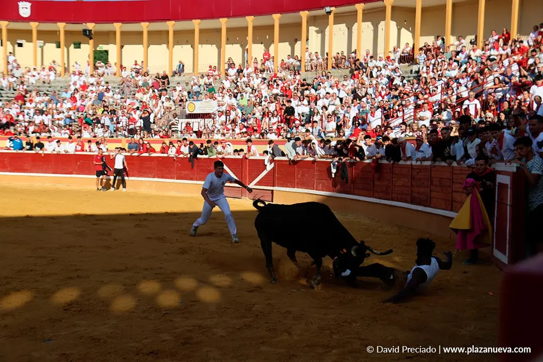 Fiestas de Tudela 2026 Suelta de vaquillas d&iacute;a 27 14