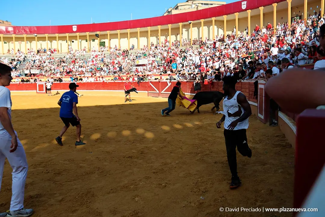 Fiestas de Tudela 2026 Suelta de vaquillas d&iacute;a 27 15