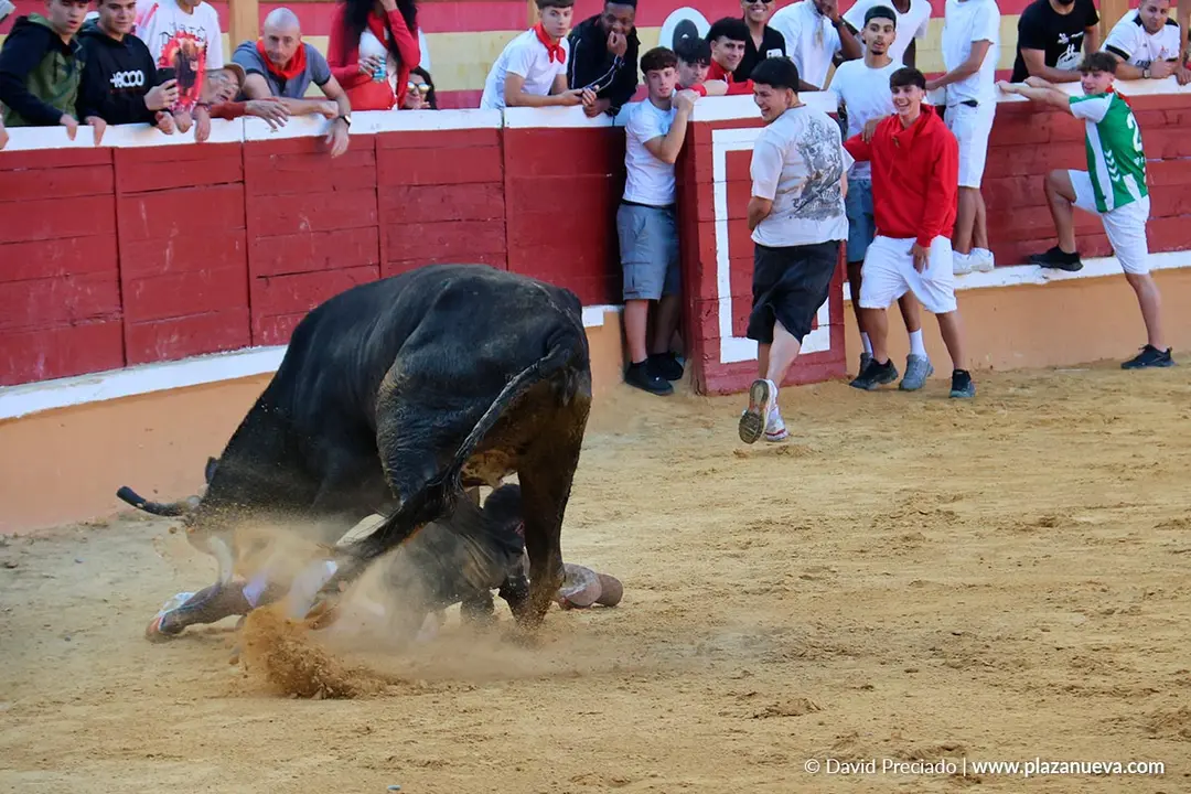 Fiestas de Tudela 2026 Suelta de vaquillas d&iacute;a 27 17