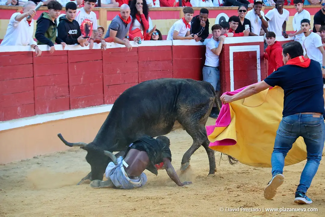 Fiestas de Tudela 2026 Suelta de vaquillas d&iacute;a 27 18