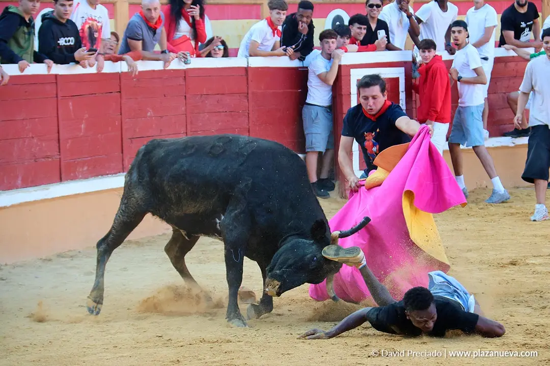 Fiestas de Tudela 2026 Suelta de vaquillas d&iacute;a 27 20