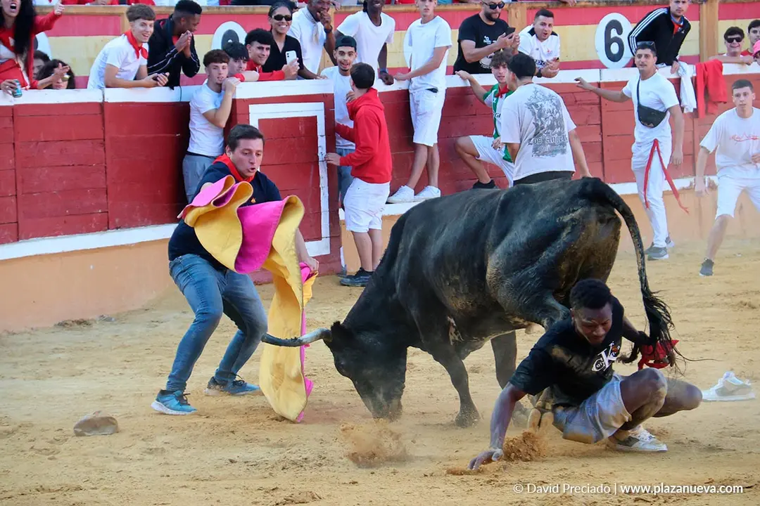 Fiestas de Tudela 2026 Suelta de vaquillas d&iacute;a 27 21