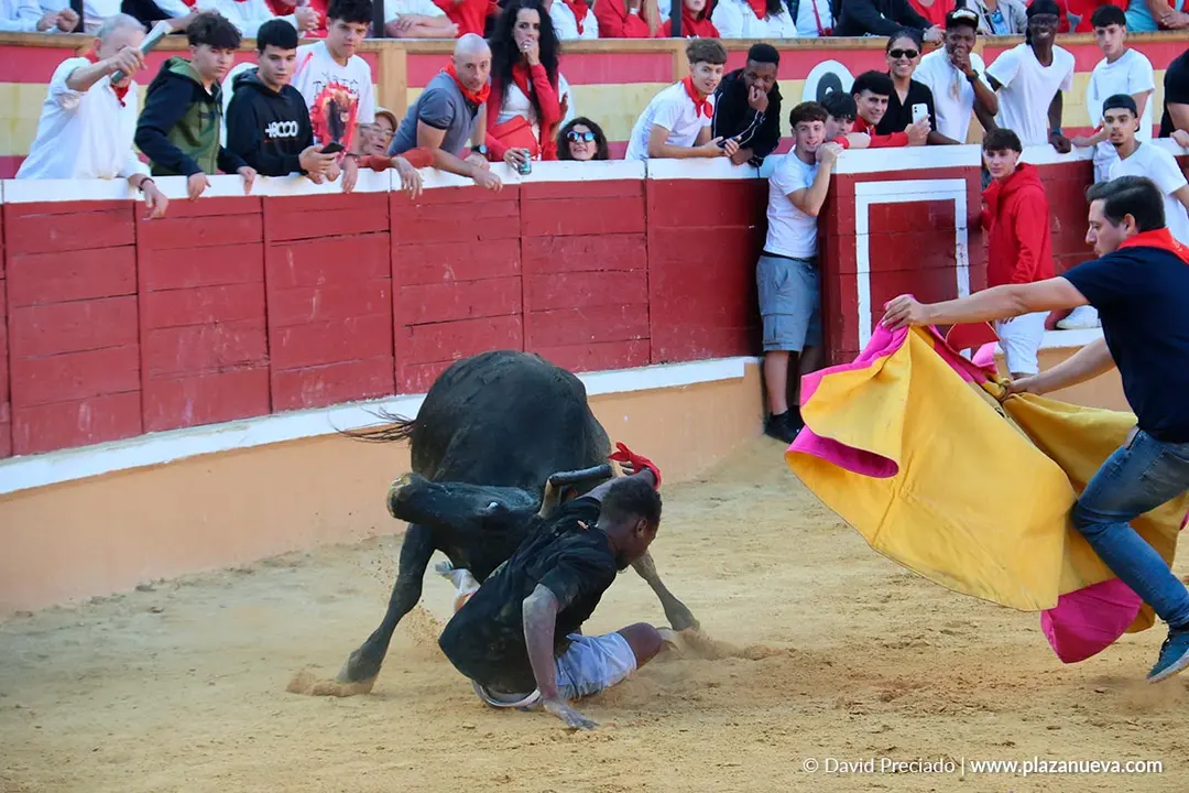 Fiestas de Tudela 2026 Suelta de vaquillas d&iacute;a 27 19